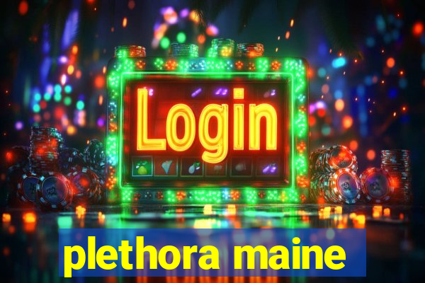 plethora maine